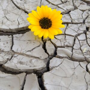 אבישג ואליהו ליבמן | סיפור אישי על אמונה, כאב ותעצומות נפש